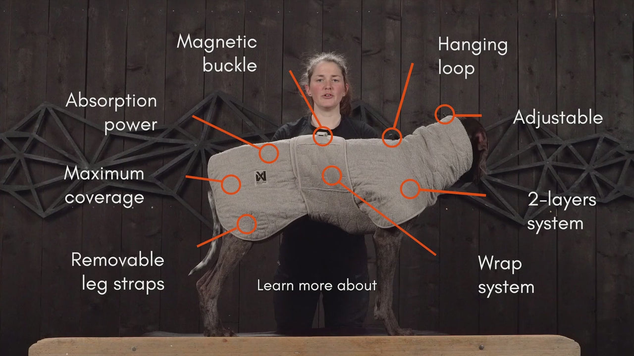 Non-stop dogwear Drying Coat shown on a dog with labeled features including 2-layer system, magnetic buckle, and removable leg straps for full coverage.
