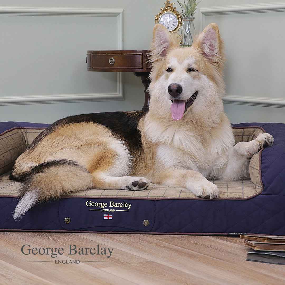 George Barclay Country Dog Sofa Bed - Midnight Blue