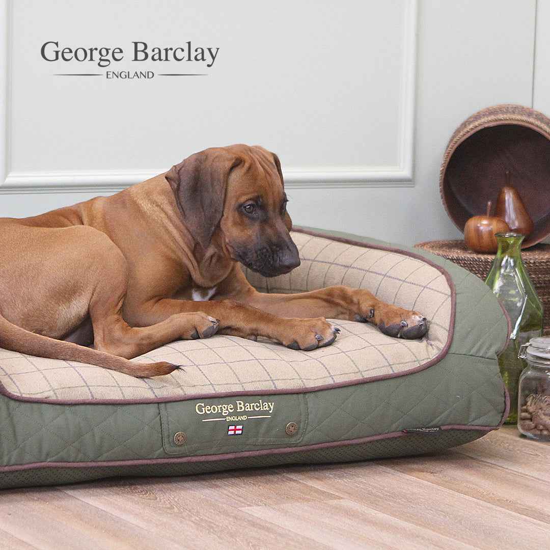 George Barclay Country Dog Sofa Bed - Olive Green