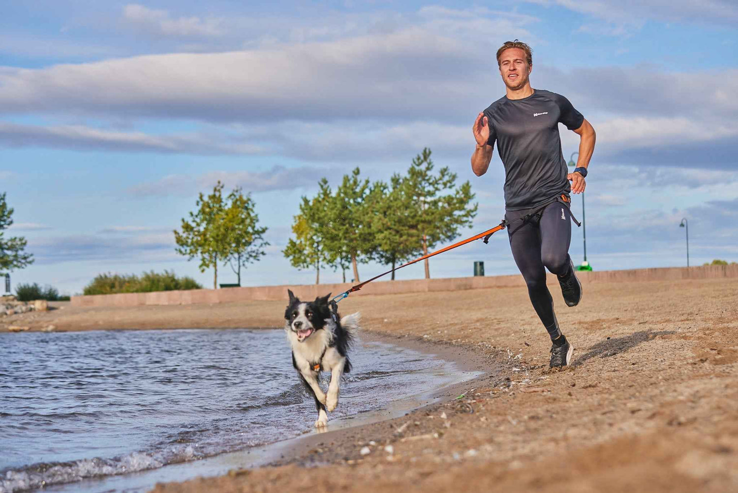 Non-stop Dogwear Bungee Leash