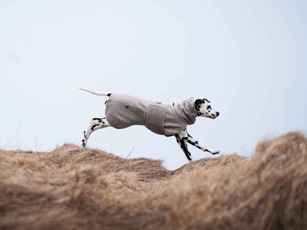 Non-stop dogwear Drying Coat