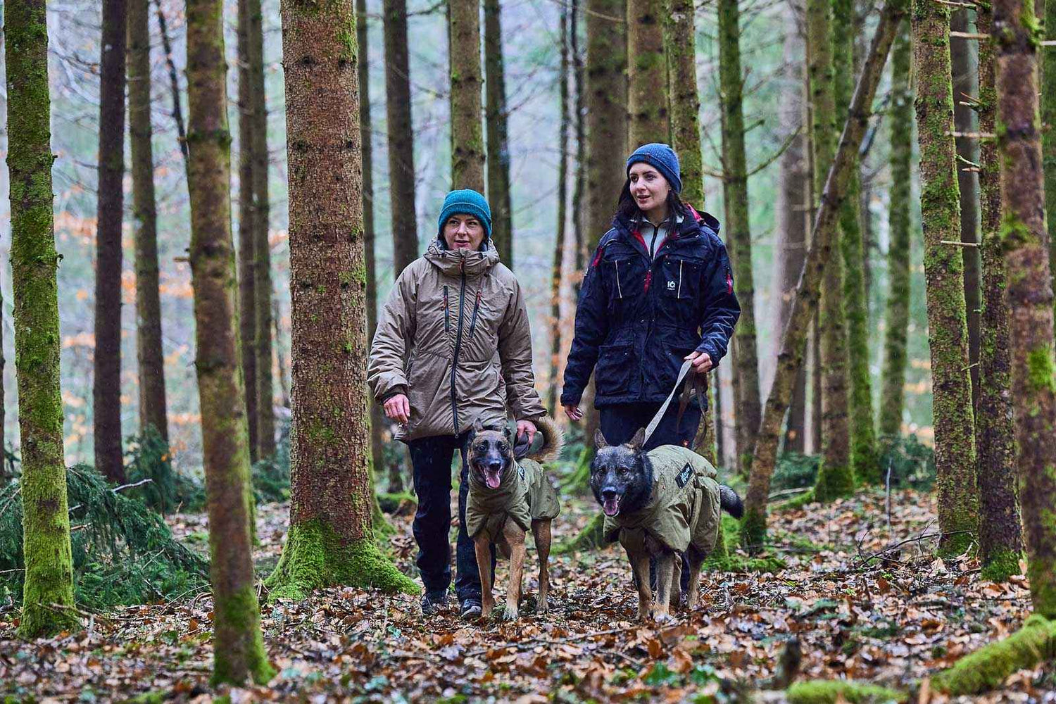 Non-stop dogwear Glacier Dog Jacket WD