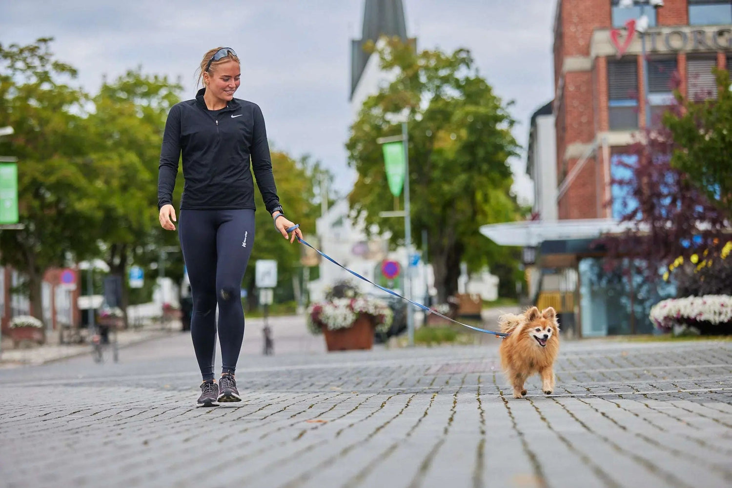 Non-stop dogwear Move Leash