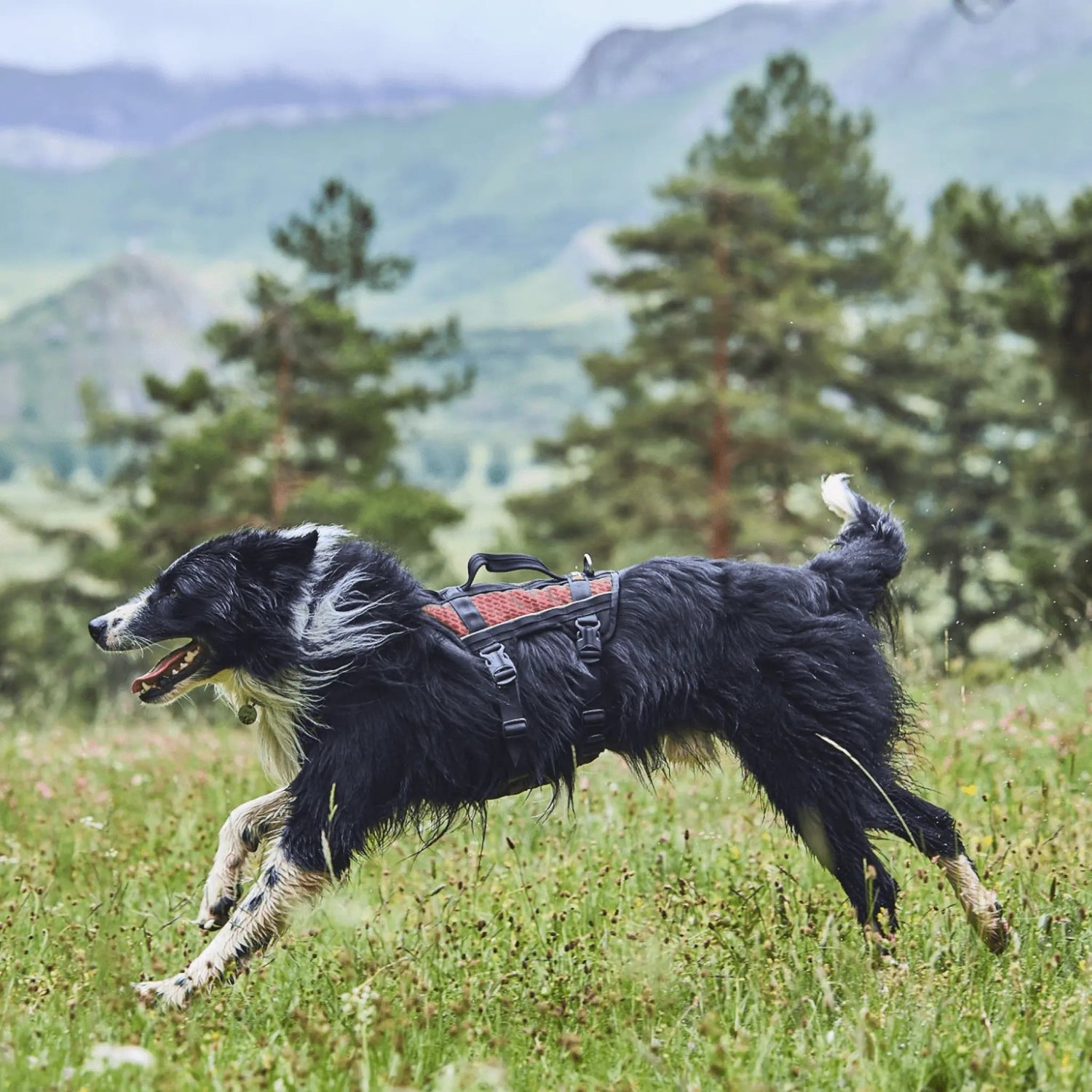 Non-stop dogwear Rock Harness Long