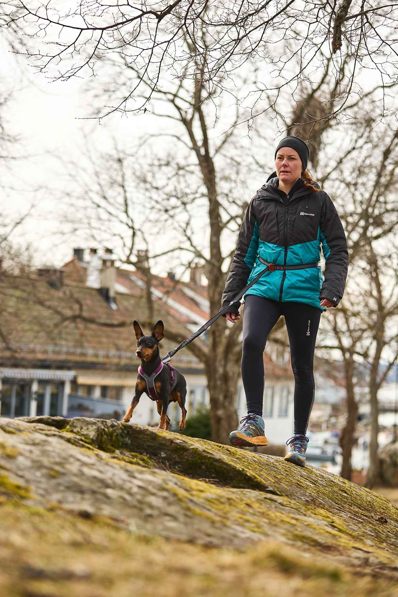 Non-stop dogwear Touring bungee adjustable