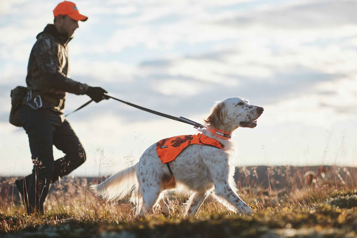 Non-stop dogwear Touring bungee adjustable