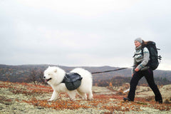 Non-stop dogwear Touring bungee adjustable