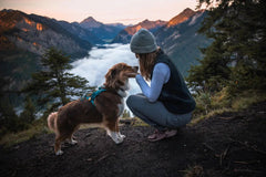 Non-stop dogwear Trail Quest Pants Women’s