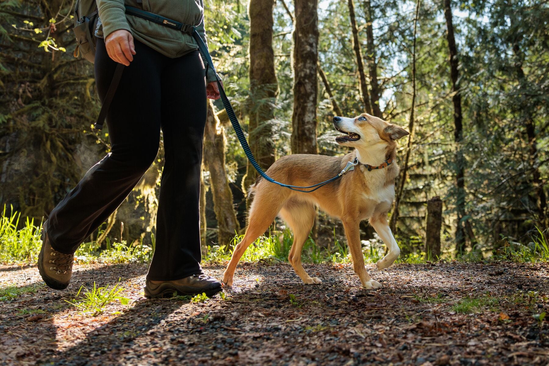 Ruffwear dog leashes and collars for outdoor walking