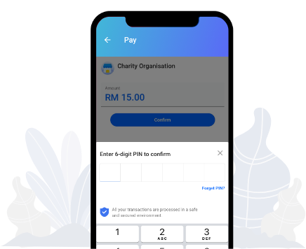 Enter your 6-digit PIN